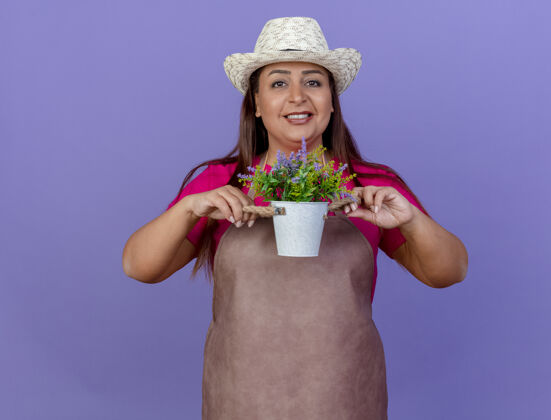 脸穿着围裙 戴着帽子的中年女园丁展示着盆栽植物 站在紫色的背景下微笑着看着镜头表演围裙看