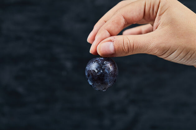 浆果手拿着一个新鲜的李子在黑暗中收获紫色成熟的