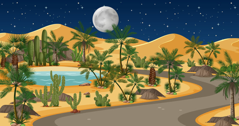 炎热沙漠与道路和棕榈树和猫在夜景自然景观道路沙丘街道