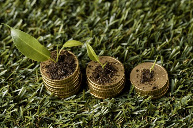 横向高角度的三堆硬币放在草地上 上面有泥土和植物资本货币植物