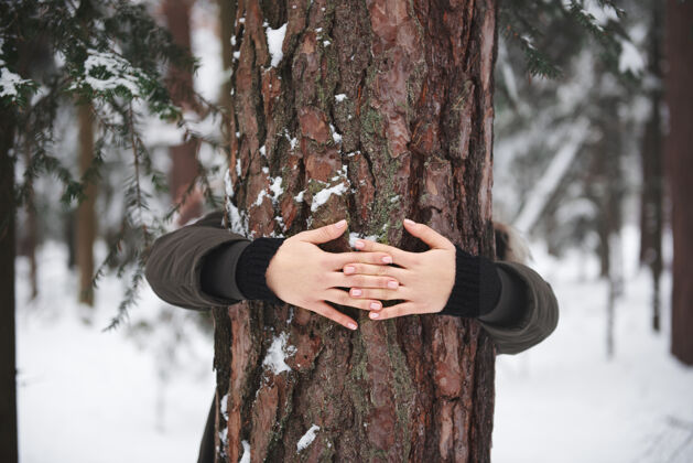 树女人双手拥抱树的特写镜头成人寒冷美丽