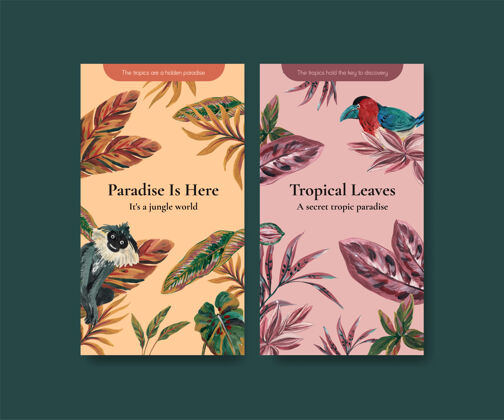 社会Instagram模板与热带当代概念设计的社交媒体和在线社区水彩插图花卉当代丛林