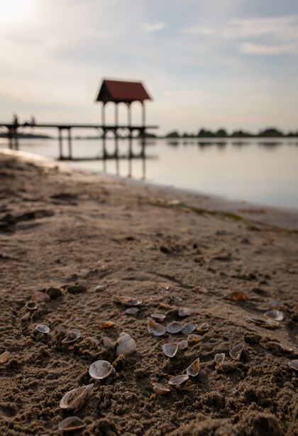海洋浅浅的焦点拍摄海贝在沙滩上与模糊的海洋岛屿放松贝壳
