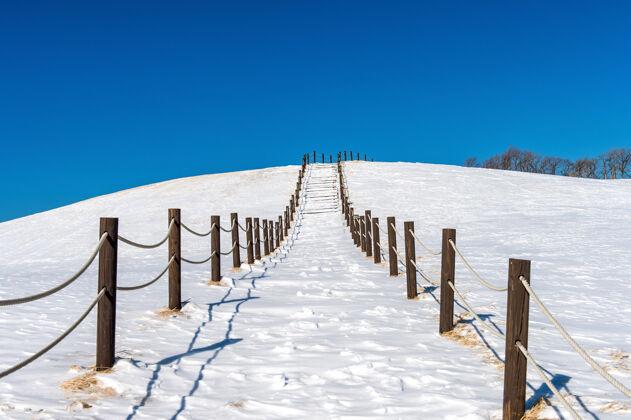 天气美丽的雪楼梯走道和蓝天白雪覆盖 冬季景观冷杉自然暴风雪