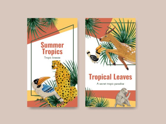 动物Instagram模板 带有热带现代概念设计 适用于社交媒体和在线社区水彩森林异国情调