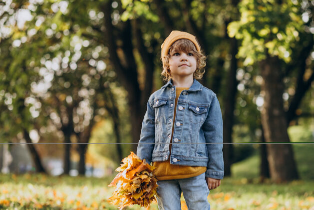 探索可爱的小男孩在秋天公园玩树叶头发学龄前儿童小