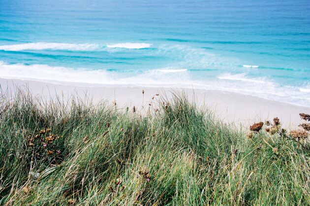 放松美丽的镜头蓝色的大海和沙滩与绿色的草岛屿海边背景