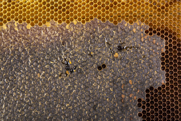 多边形黄色蜂窝状纹理纹理蜂蜜蜂窝
