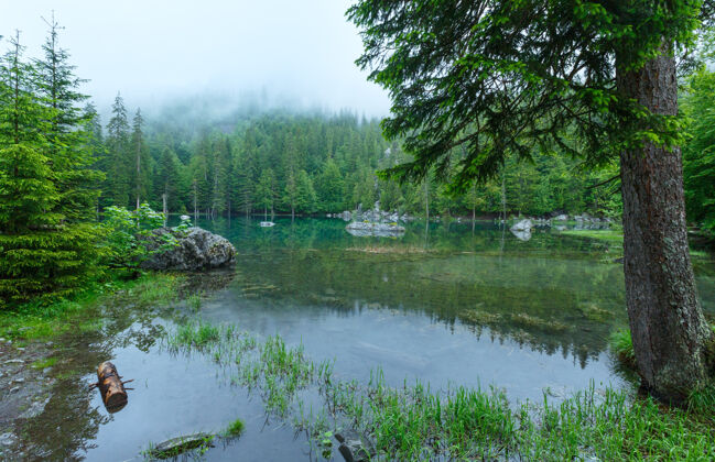 海岸法国阿尔卑斯山的小山林湖（夏天的早晨有雾）湖早晨天气