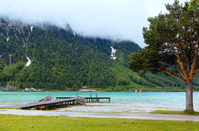 蒂罗尔阿肯西（阿肯湖）夏季景观 绿色草地和木质沼泽地（奥地利）季节天气湖