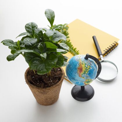 分类高角度盆栽和学习项目环境教育日知识