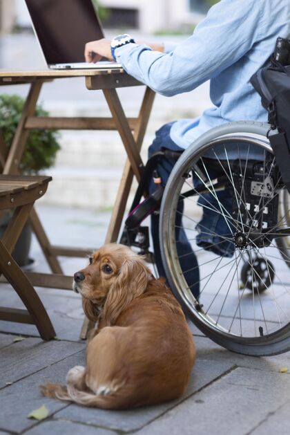 残疾人特写残疾人和可爱的狗身体狗笔记本电脑