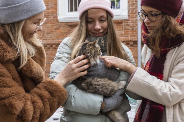户外与可爱的猫亲密接触城市女性水平