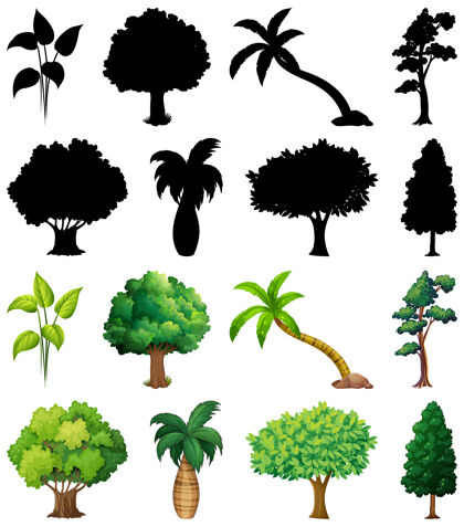 黑色一套植物和树木的轮廓自然剪贴画艺术